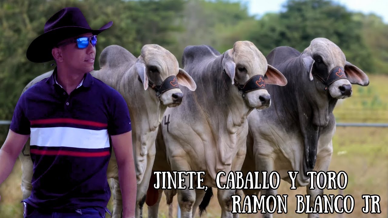 Ramon Blanco Jr  - Jinete, Caballo Y Toro (Video Audio Oficial)