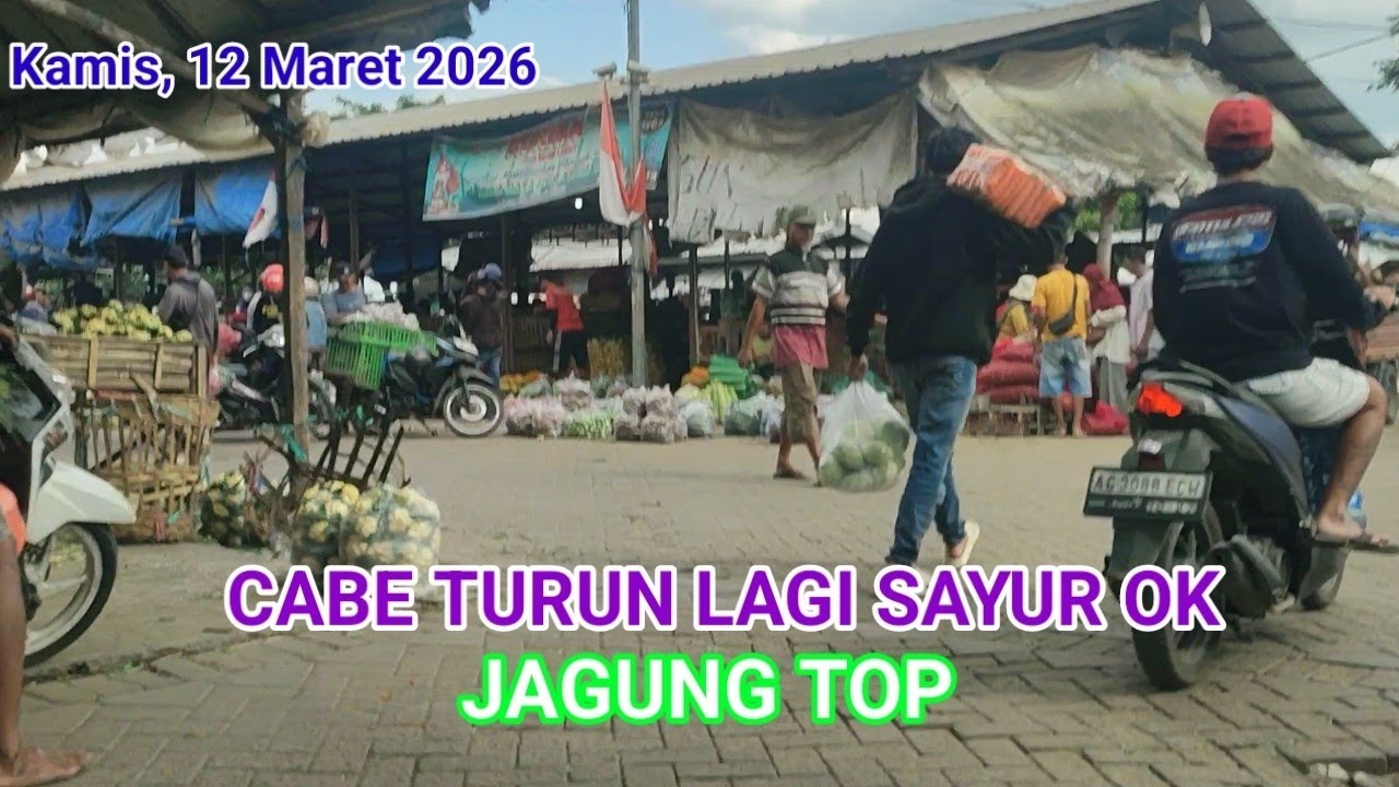 CABE TURUN SAYURAN LUMAYAN JAGUNG TOP DI PASAR INDUK PARE KEDIRI
