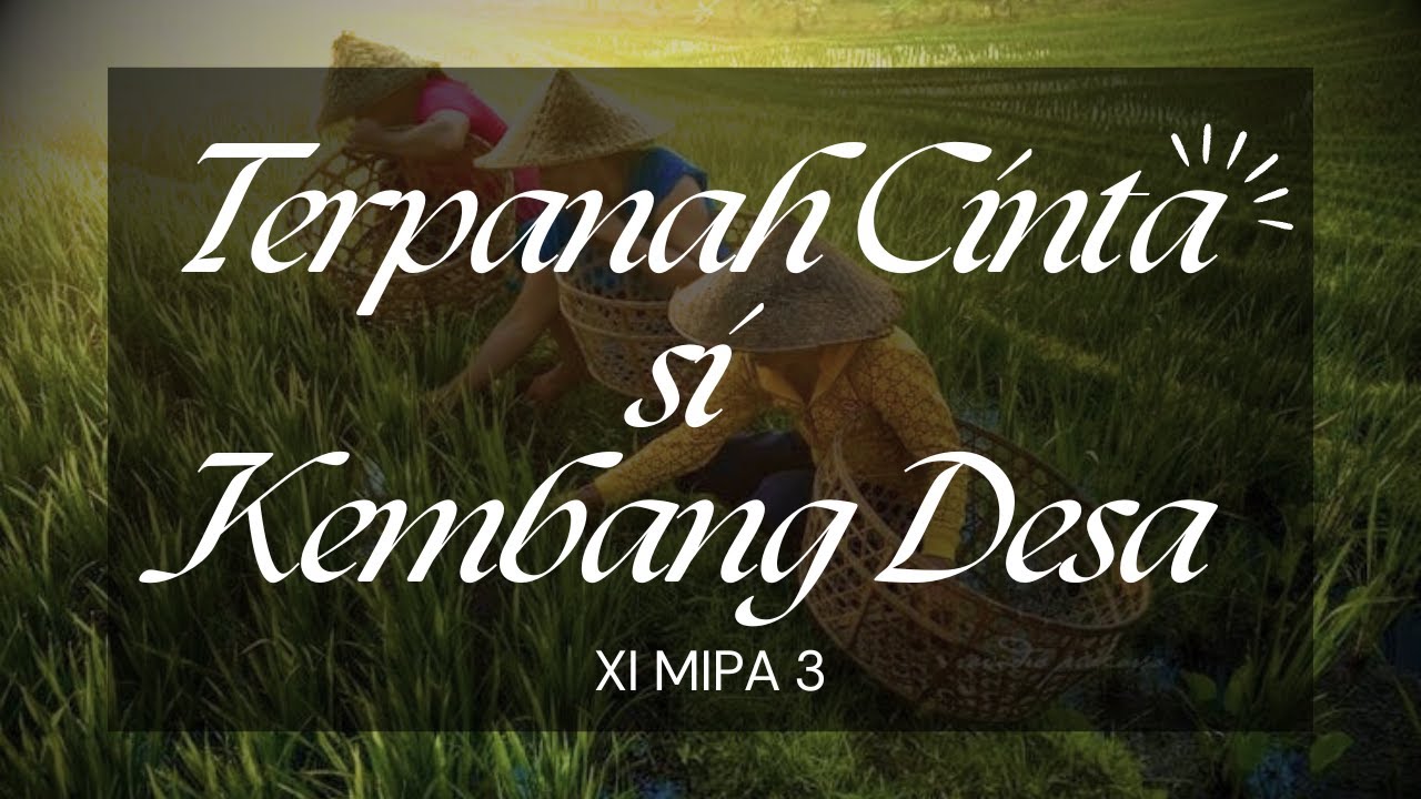 TERPANAH CINTA SI KEMBANG DESA - XI MIPA 3
