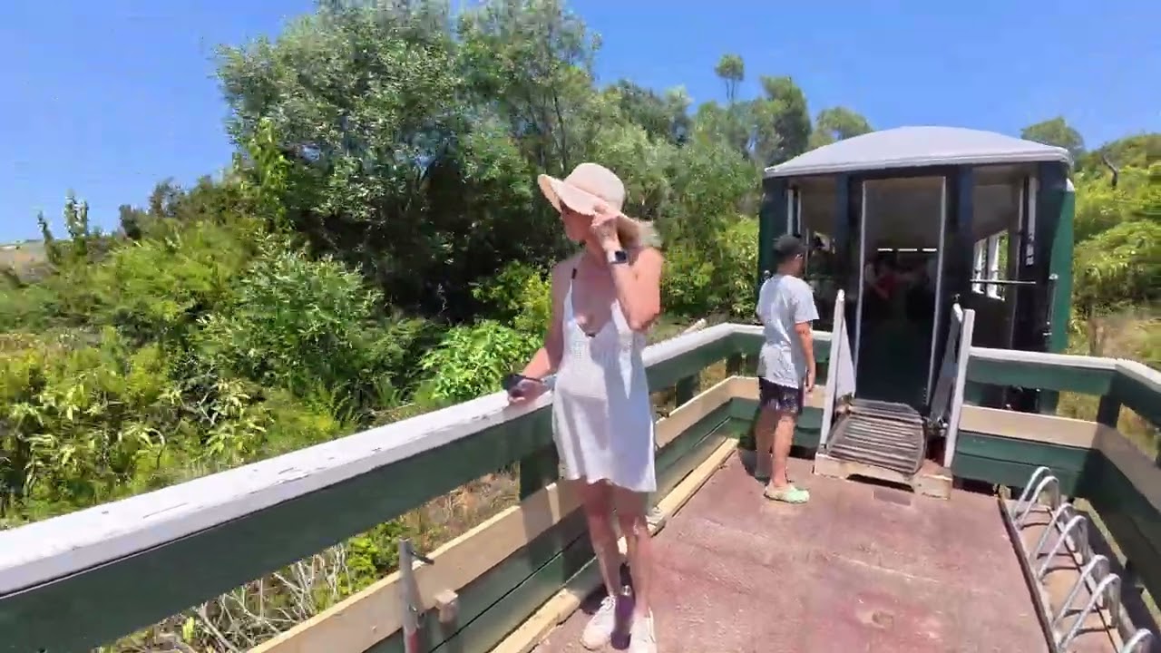 Kawakawa Train