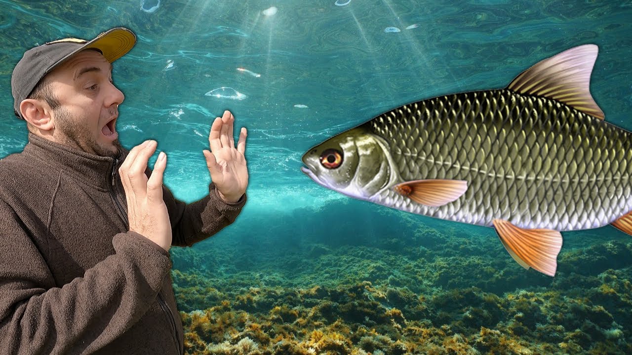 UN MOSTRO Gigantesco Ripreso dal mio DRONE Subacqueo 🤯