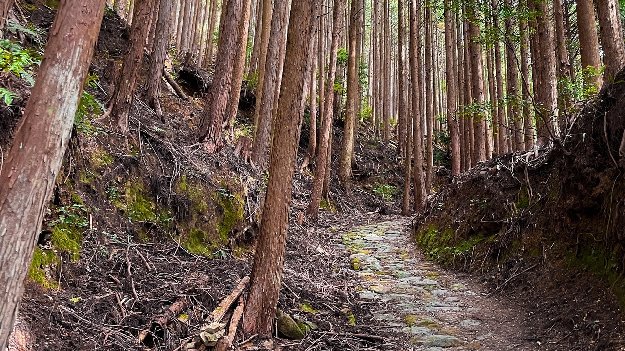 Kumano Kodo - Takijiri-Oji to Chikatsuyu-oji