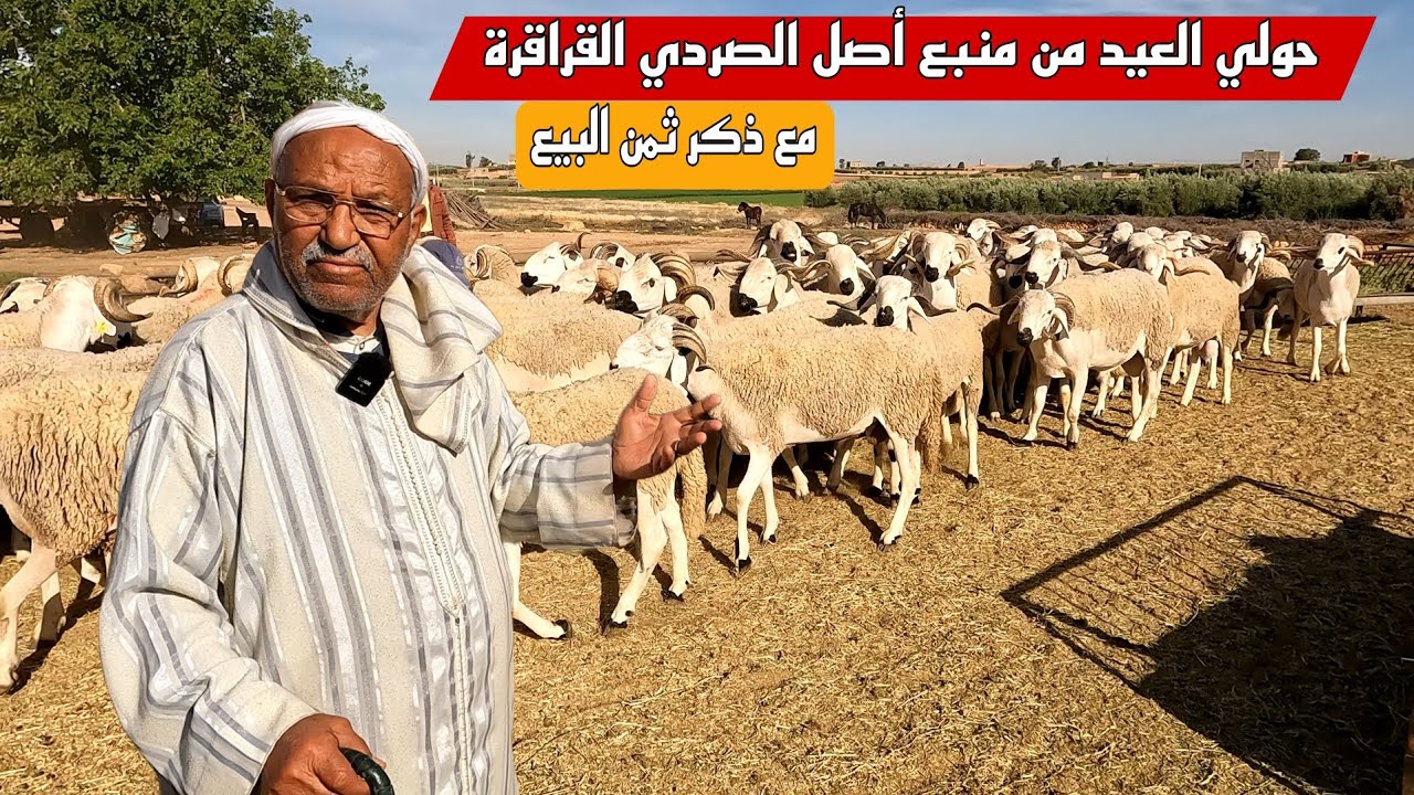 حولي العيد عند الكساب العثماني بوزكري القرقوري مع ذكر ثمن حولي العيد