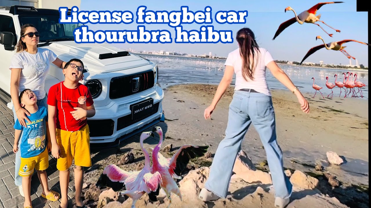 За границей получите водительские права! Подайте заявку! 🇧🇭Видеоблог о путешествиях по Манипуру в...
