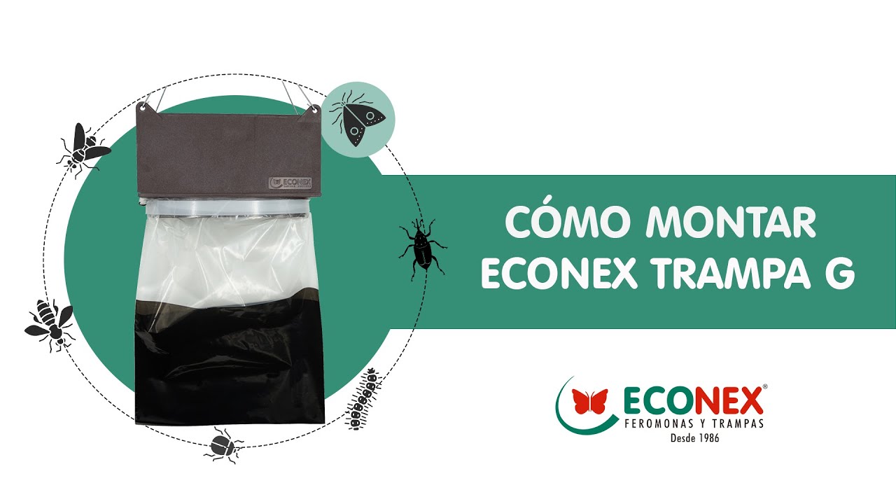MONTAJE ECONEX TRAMPA G - BIOCONTROL DE LA THAUMATOPOEA PITYOCAMPA