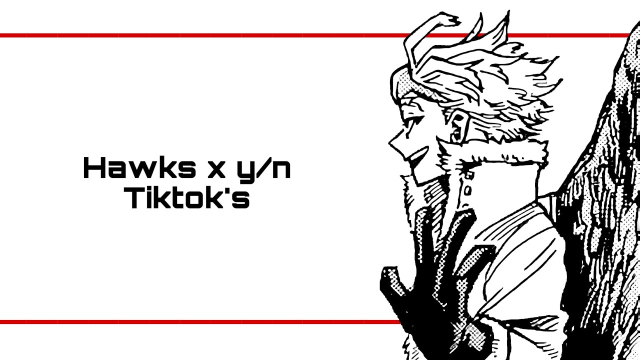 Hawks x y/n tiktok’s
