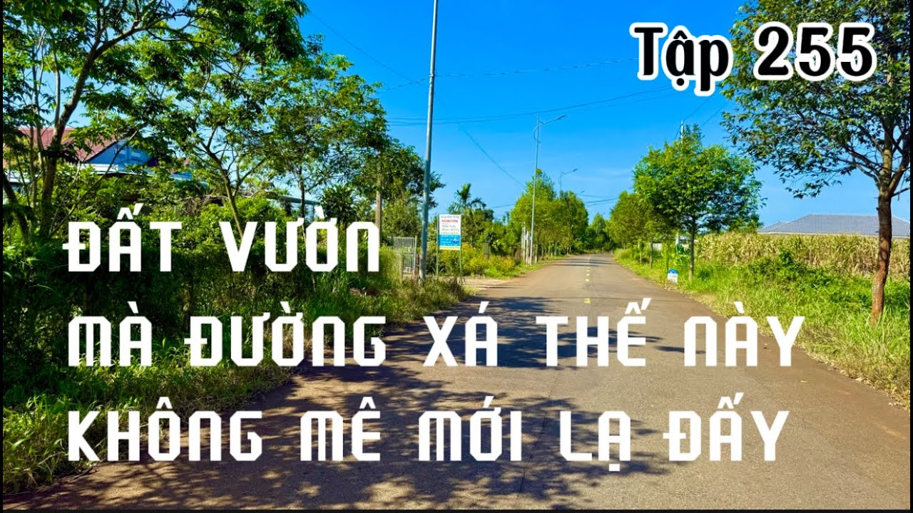 đất vườn nằm ngay vị trí đẹp sẵn sàng chờ chủ mới , đất vườn bà rịa vũng tàu