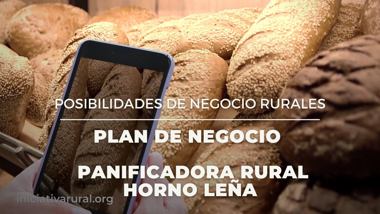 Ideas de negocio para la España Vaciada: Horno de Pan de leña