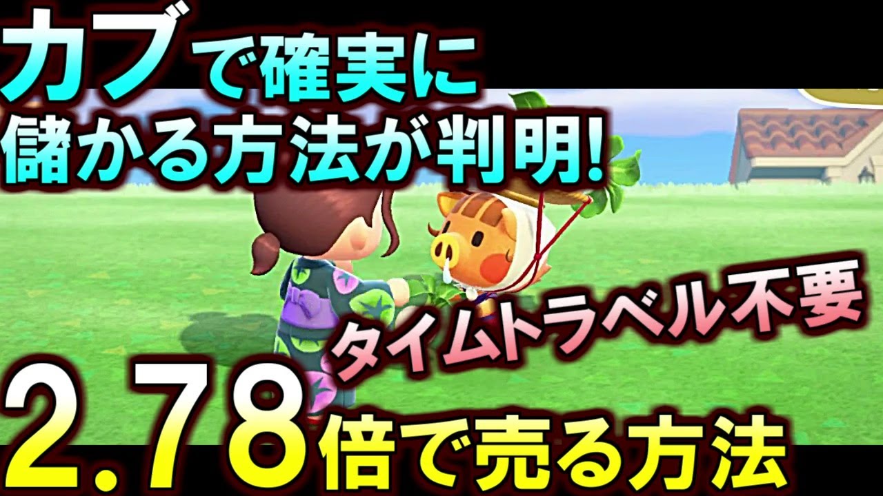 (あつ森)今日カブ買った人は絶対見て!タイムトラベル不要で簡単に儲ける方法が判明したぞ!(あつまれどうぶつの森)