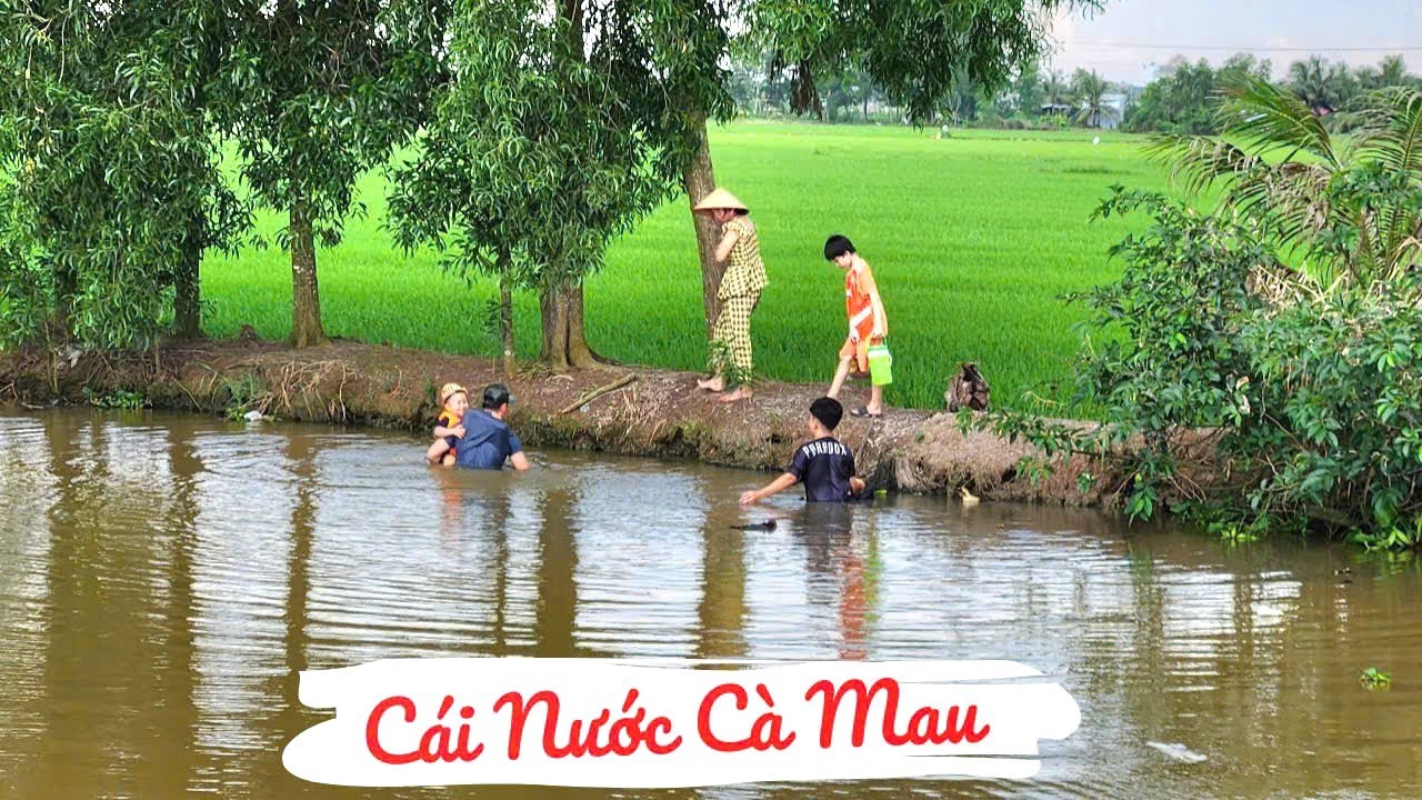 Vùng Quê Cái Nước Cà Mau, Bà Con Đi Xuồng Ghe Chợ Sáng, Đường Làng Hàng Cây Xanh Mướt 2025