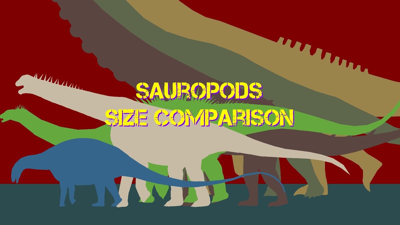 Sauropods Size Comparison 2