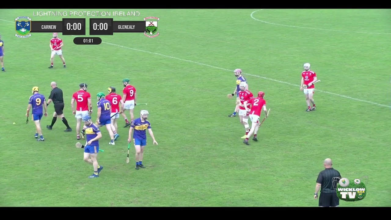 SHC Semi-Final 2021 | Glenealy v Carnew Emmets