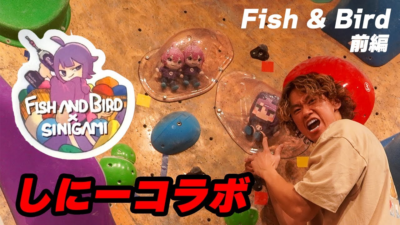 初セットで完成度が高すぎる、、、しにがみくんの課題を登ってきた【Fish & Bird】