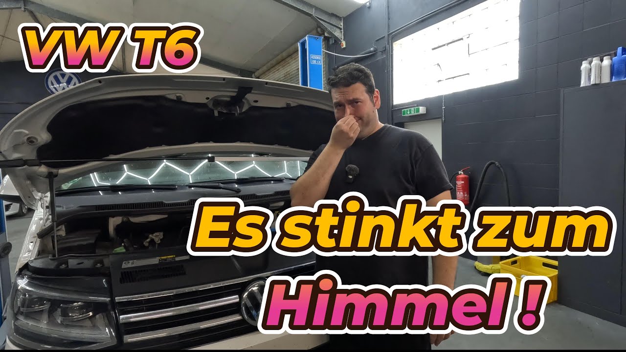 Bis die Augen brennen! Ist das AGR Schuld ? Massive Undichtigkeit am VW T6 Motor