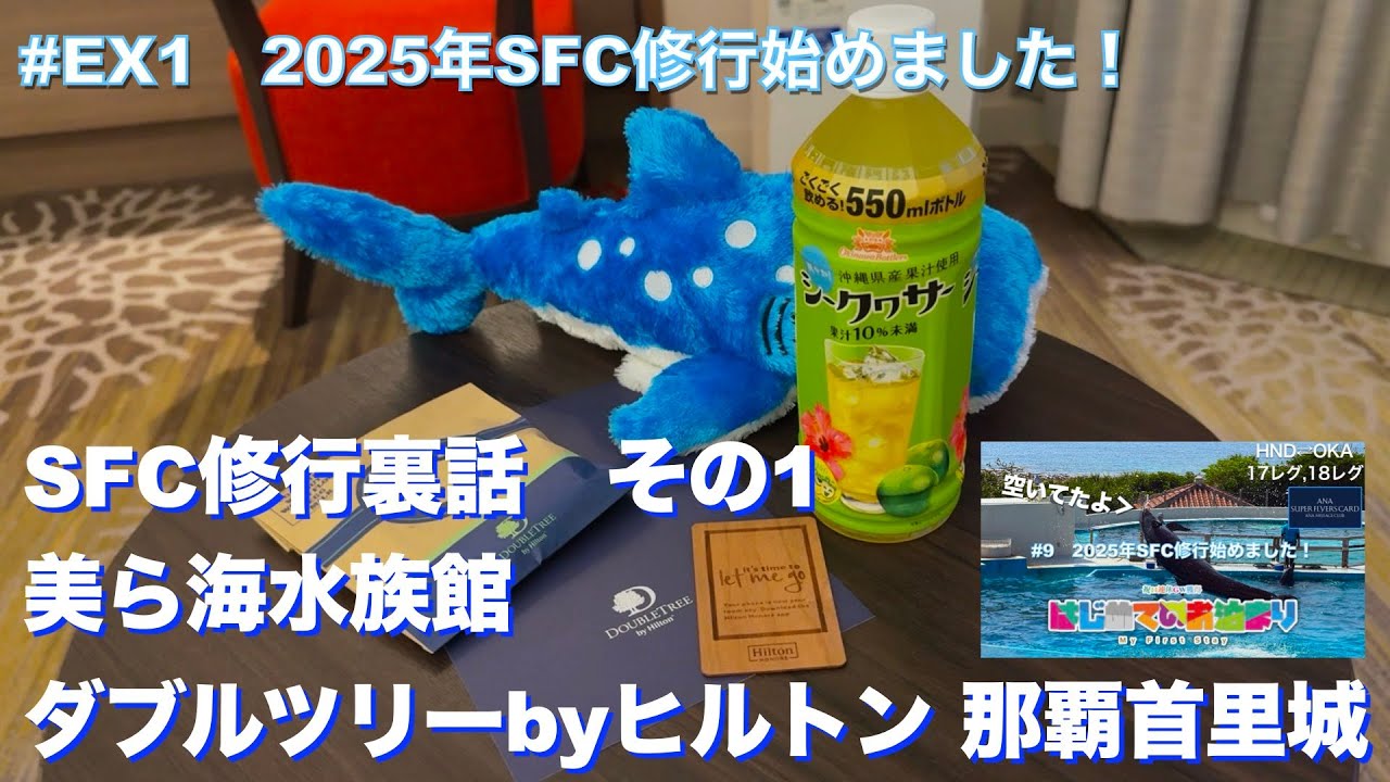 【美ら海】#EX1 SFC修行の裏側 美ら海水族館&ダブルツリー紹介【ヒルトン】