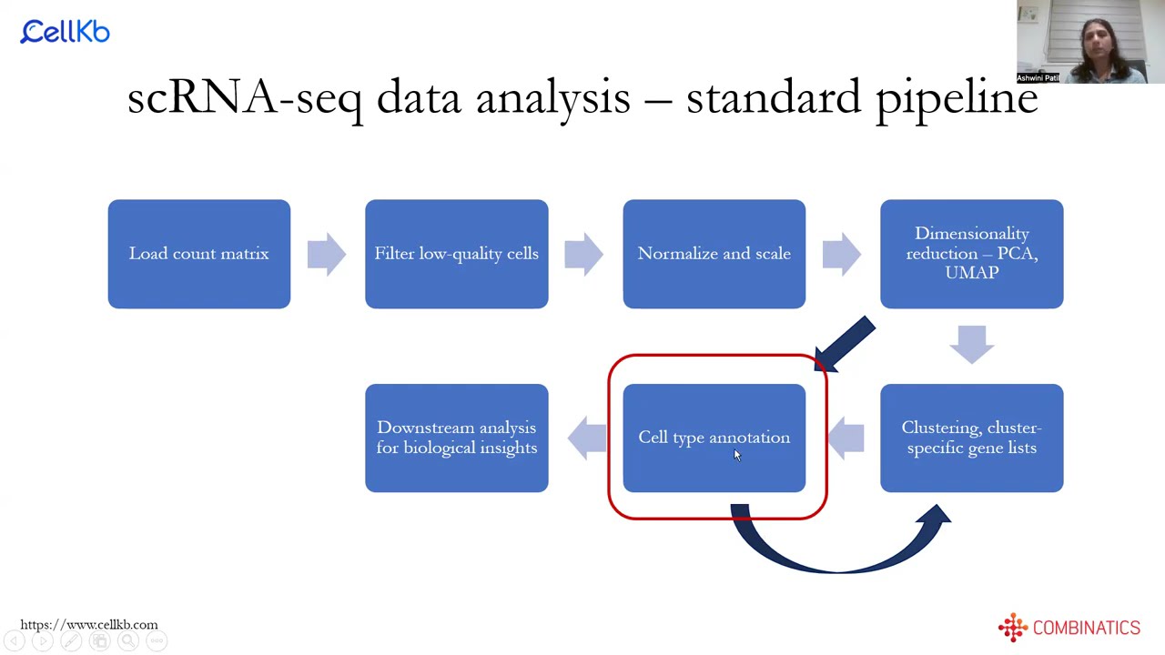 Single-Cell RNA-seq Data & Cell Type Annotation Using CellKb @Uchicago, SCIC