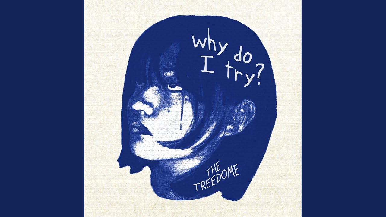 Why Do I Try?