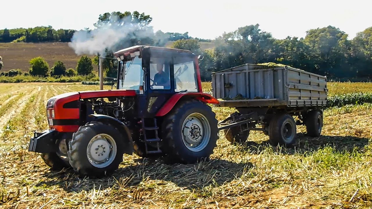 [2020] MTZ 82,892.2, 1025.3