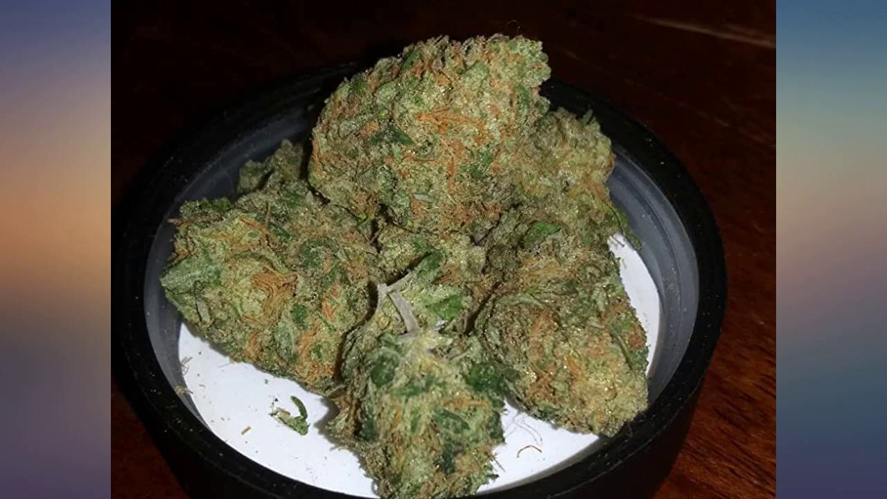 Humboldts Secret Sweet & Sticky &ndash; Carbohydrate and Saccharide Energy Source &ndash; review