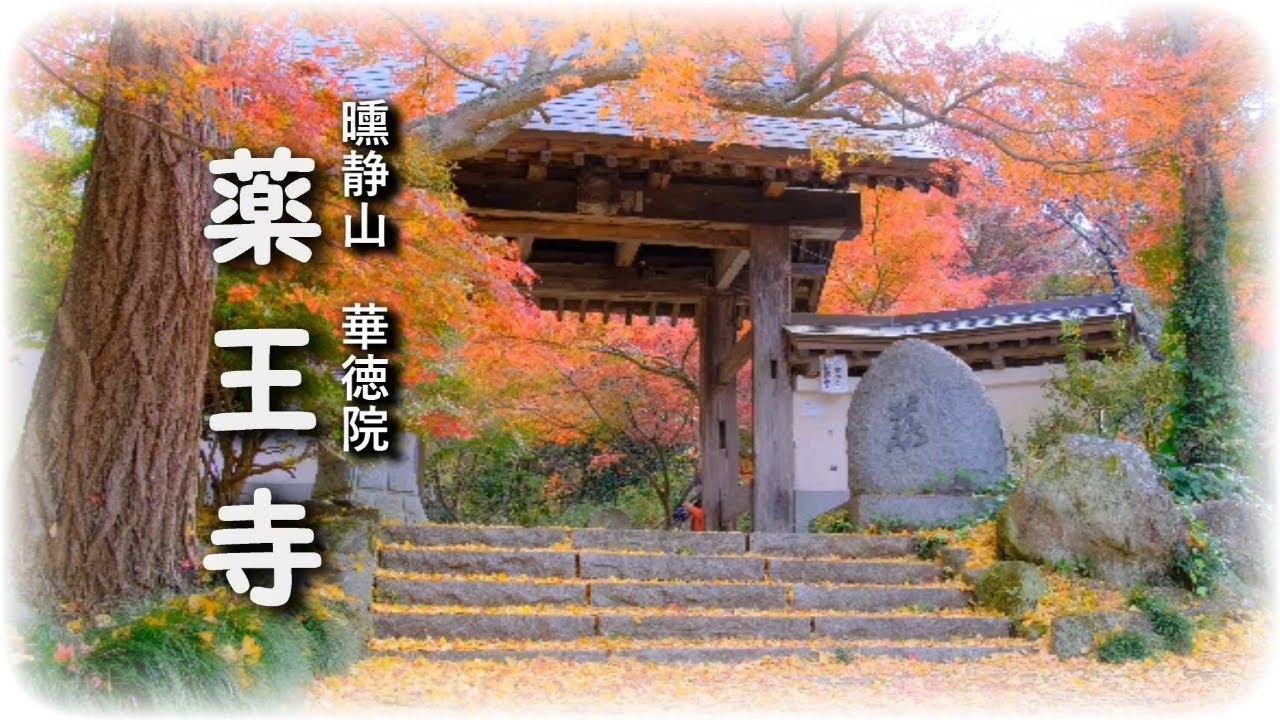 2021紅葉さんぽ＆御朱印【もみじ寺 薬王寺】（茨城県桜川市）[4K]