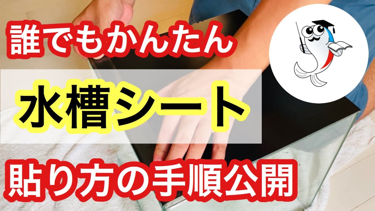 【水槽用シート】バックスクリーンを上手に貼る方法を実践解説!