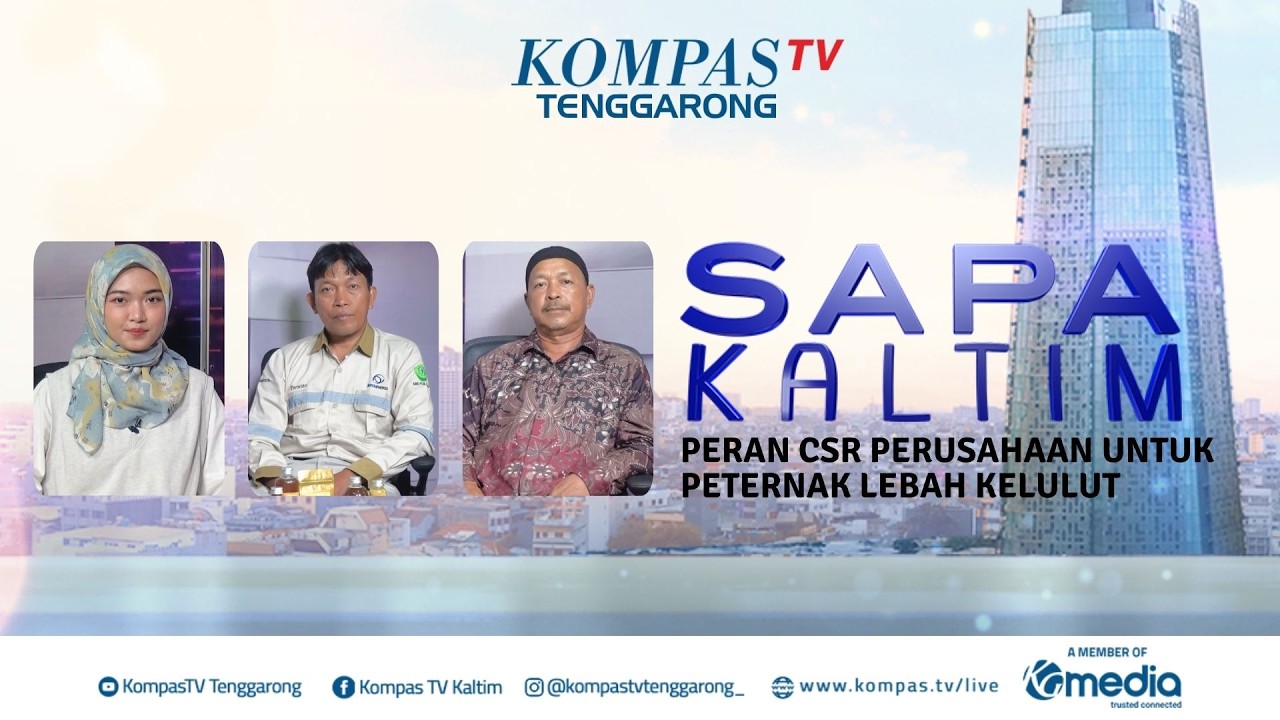 Peran CSR Perusahaan Untuk Peternak Lebah Kelulut | SAPA KALTIM