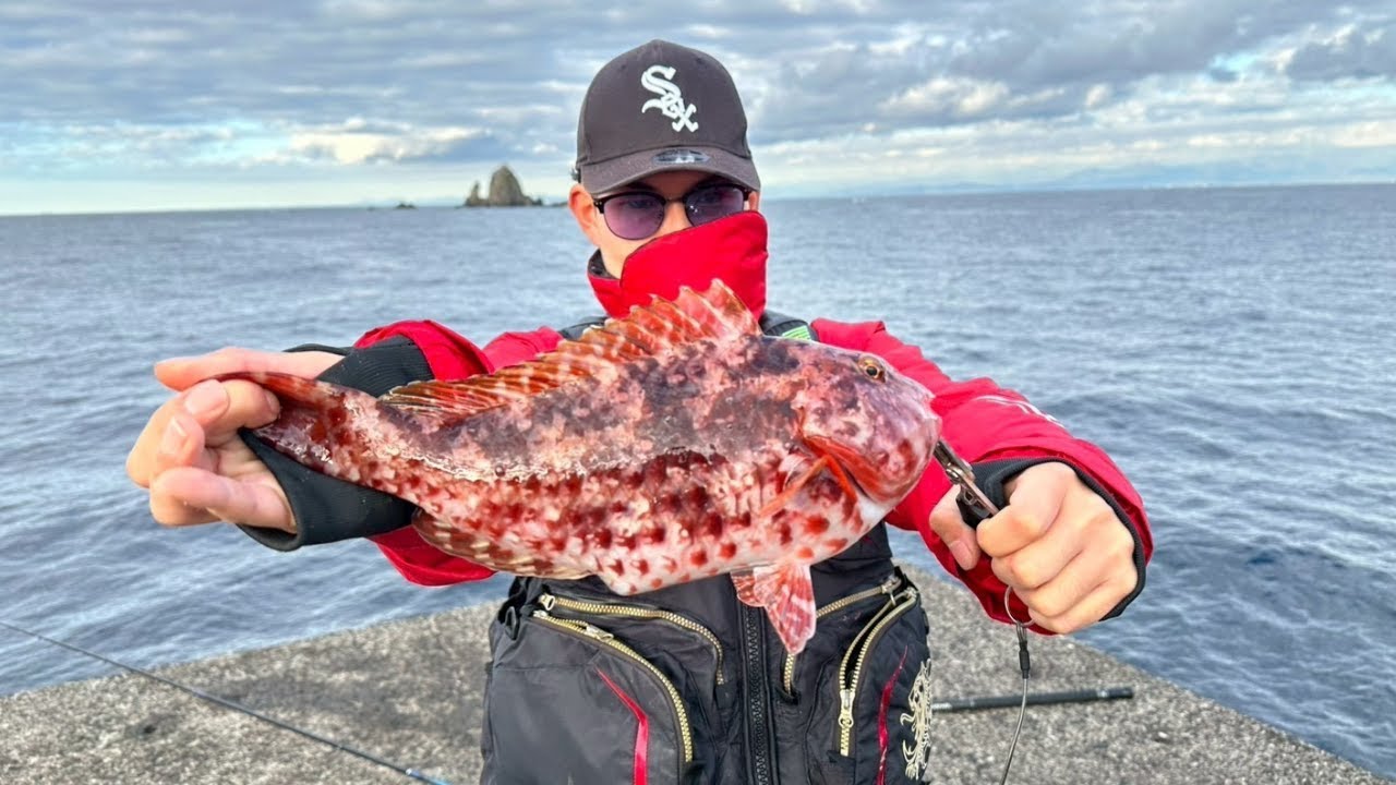 大量の外道と猛毒魚