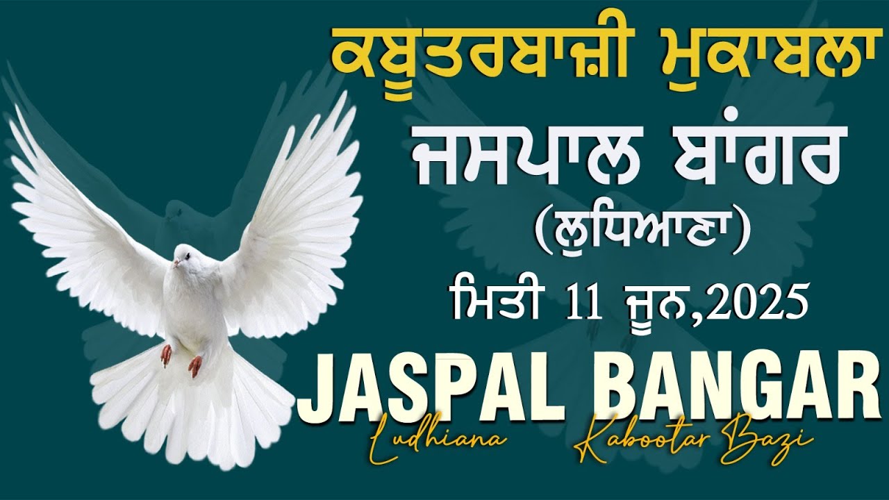 🔴{Live} Jaspal Bangar (Ludhiana) Kabootar Bazzi 11/06/2025/www.123Live.in