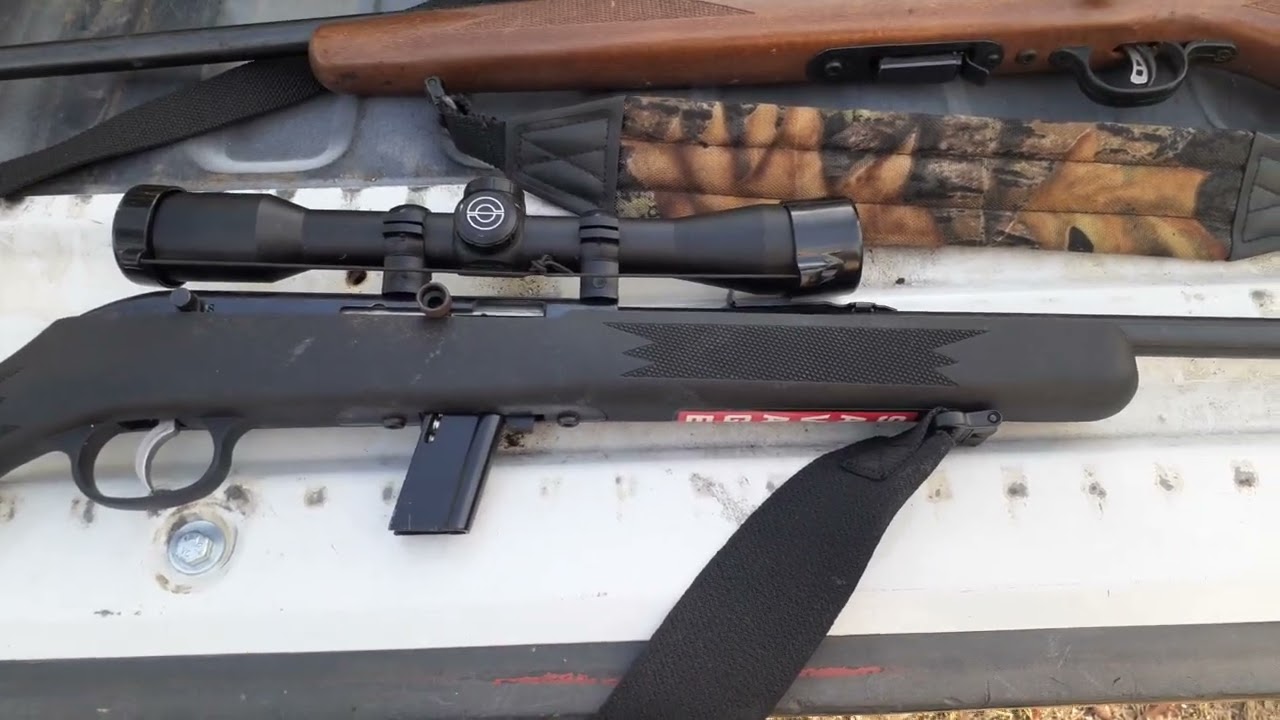 Homesteading guns