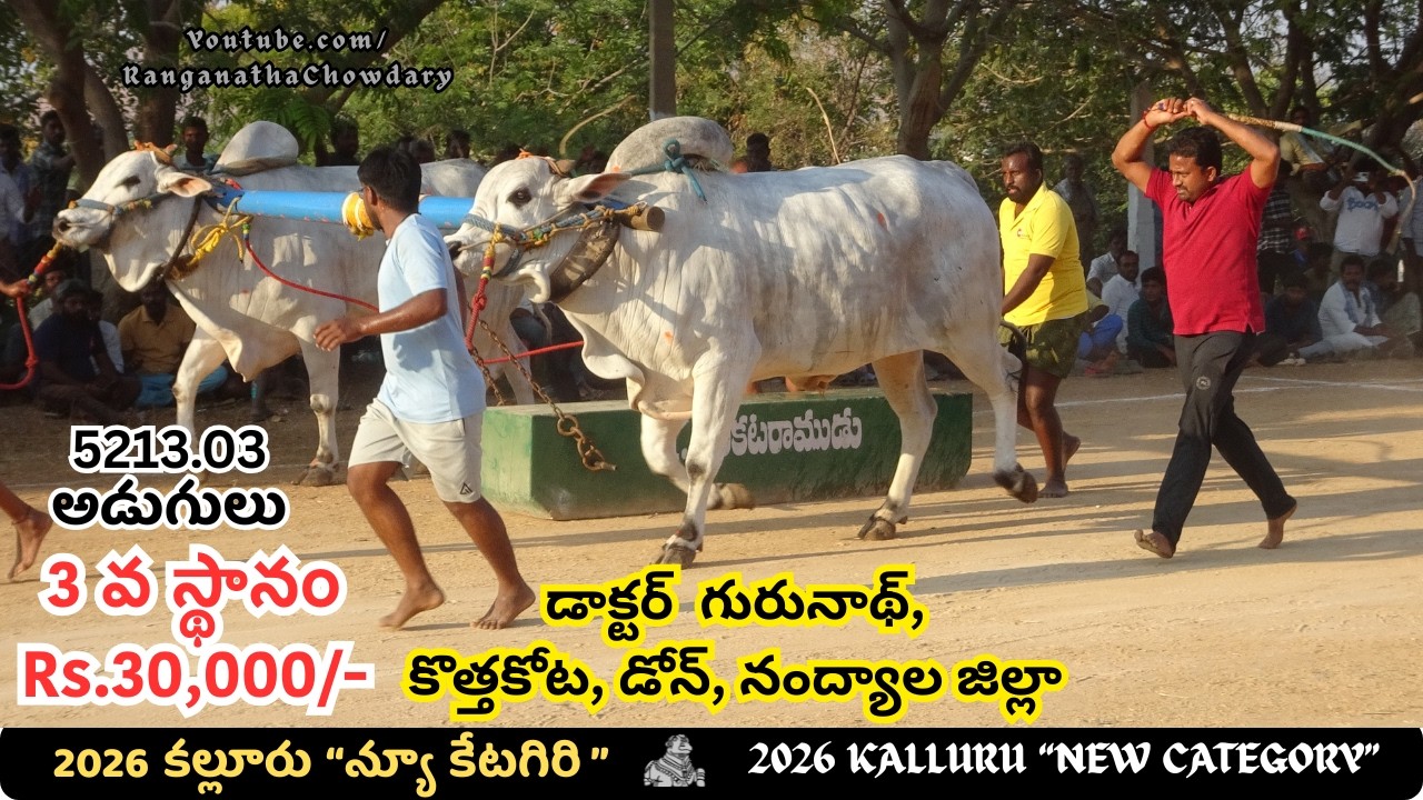 2026 KALLURU NewCategory #ongolebullsshow 3rd Prize Rs.30,000/- Won By DOCTOR GURUNATH, Kothakota