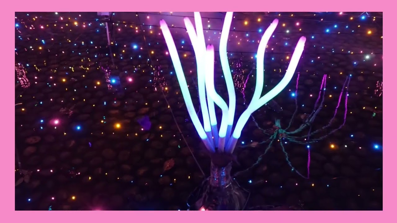 2026新莊中港大排光雕展