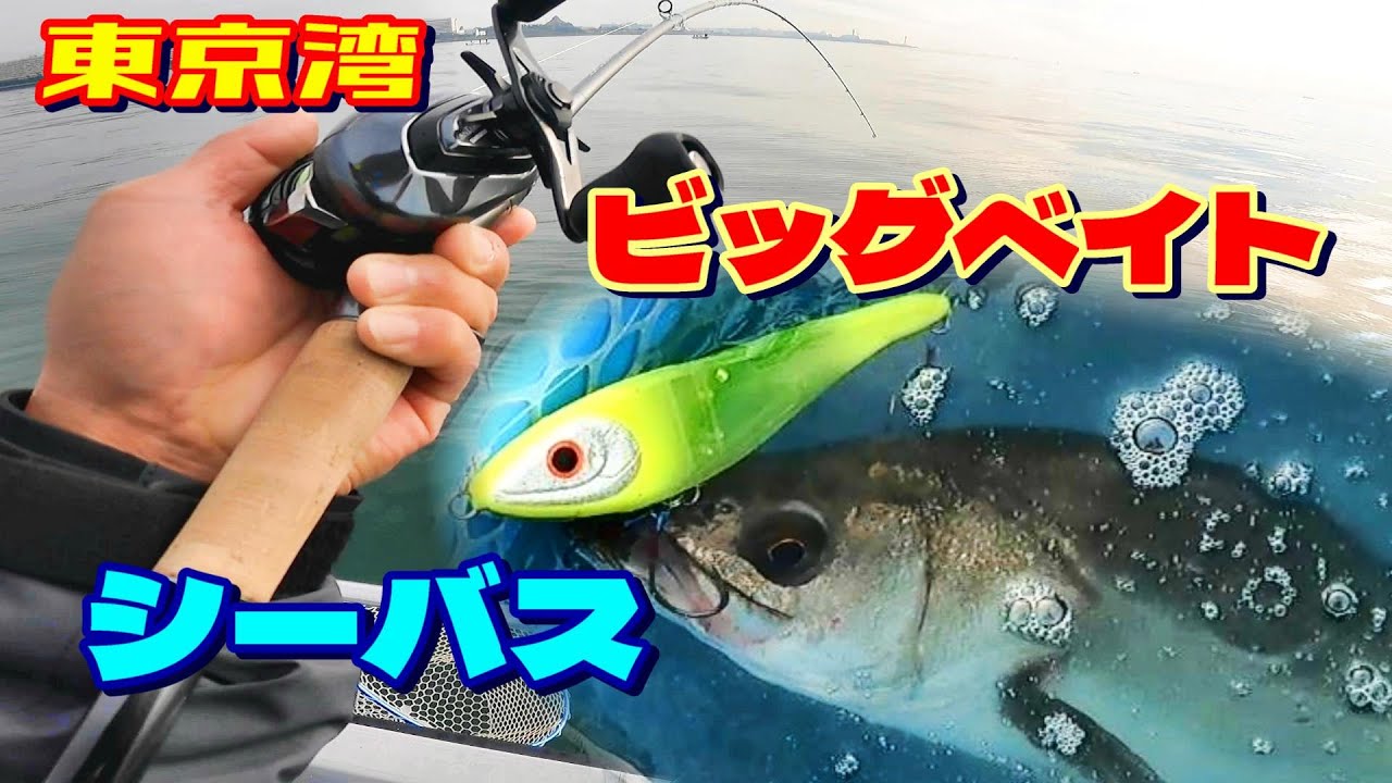 はじめてのビッグベイト シーバス 【東京湾】
