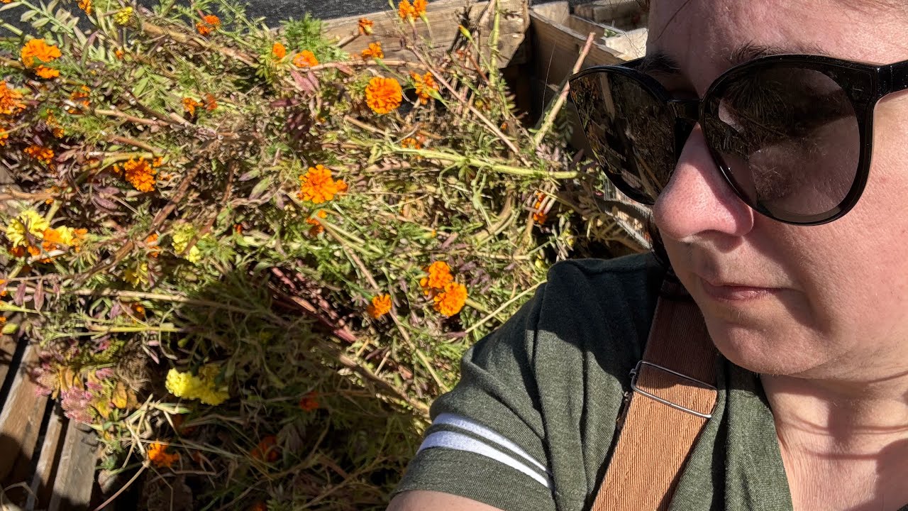 The bittersweet reality of Flower Farm life 🌼 