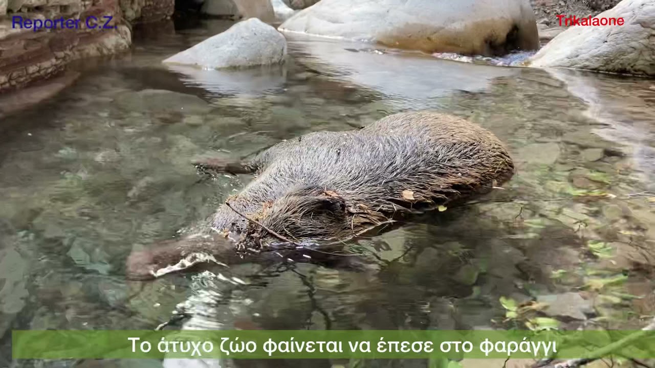 Μουτσιάρα φαράγγι ΣΤΕΝΟ παρέα Τρικαλινών