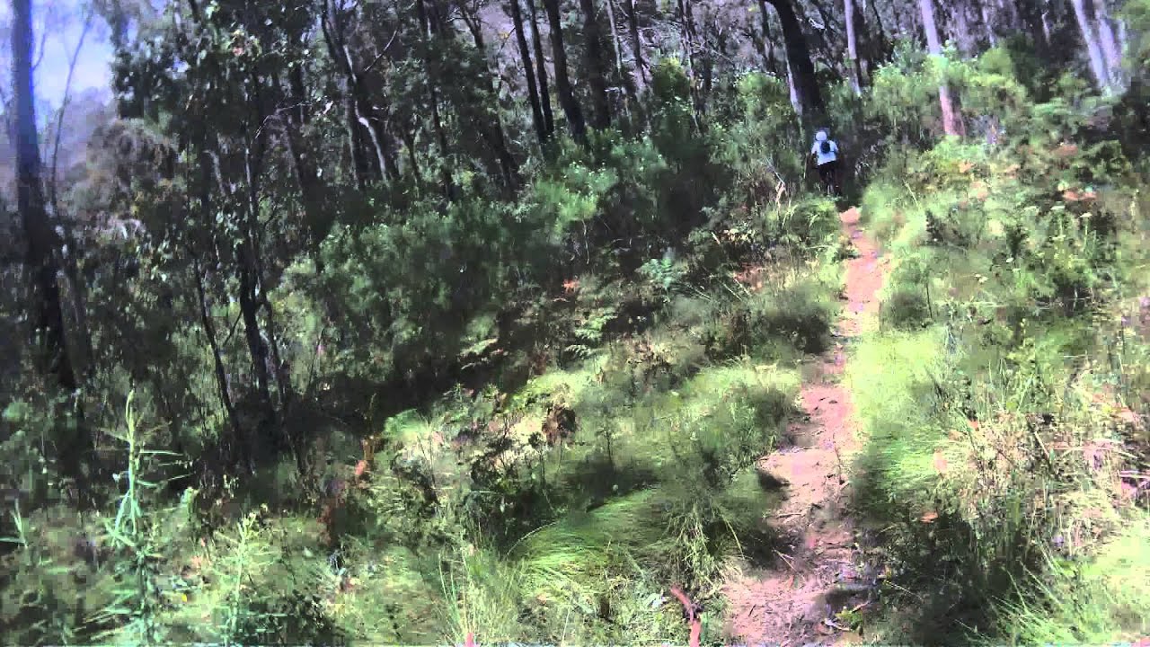 Mt Beauty Big Hill Mountain Bike Park