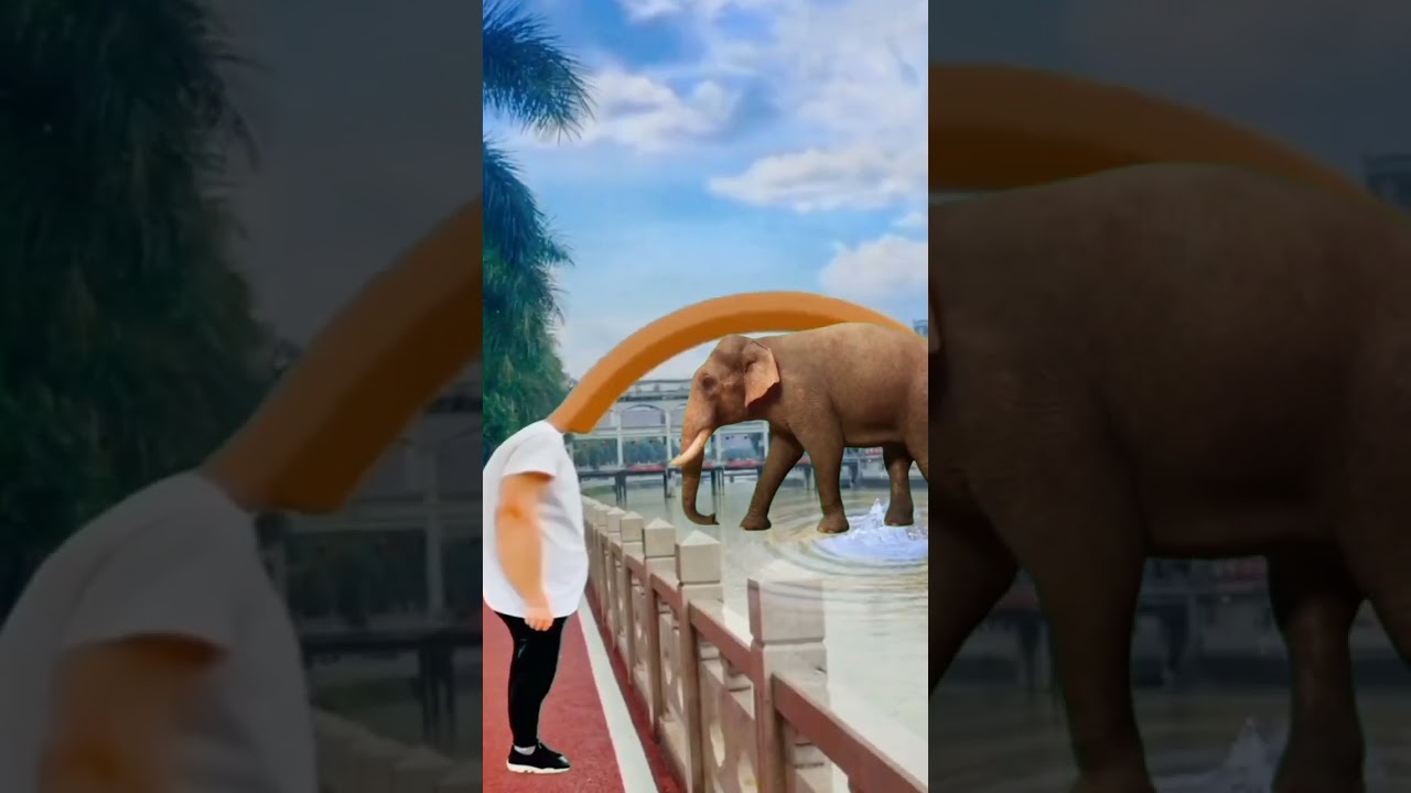 cute cute fanny videos shorts viral 