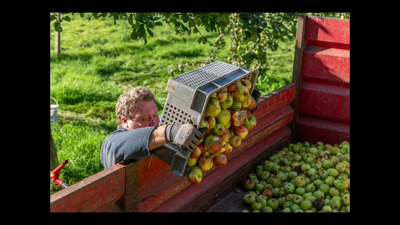 Une Histoire de Pommes - Bertrand Gauthier