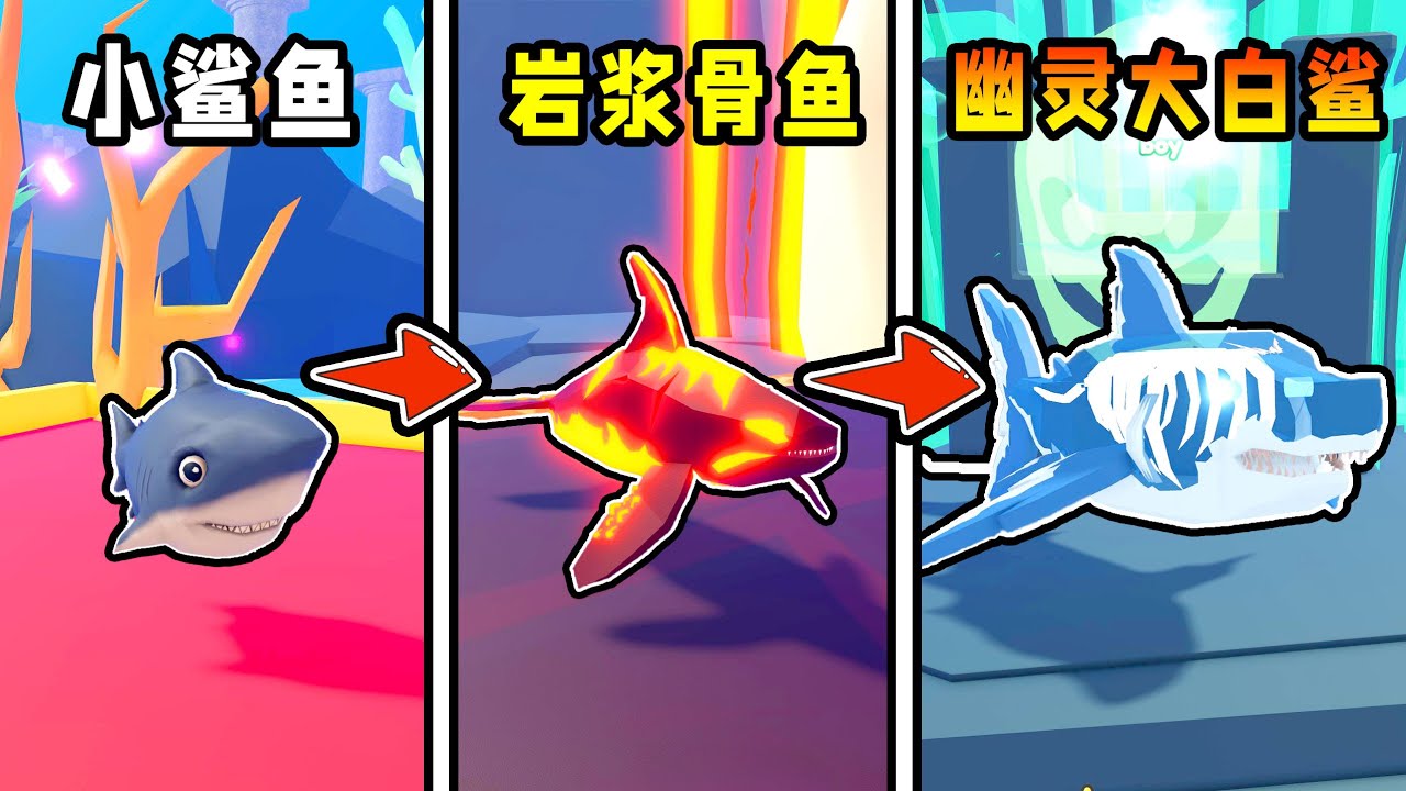 我要从最弱的小鲨鱼进化成最强的幽灵大白鲨！ROBLOX