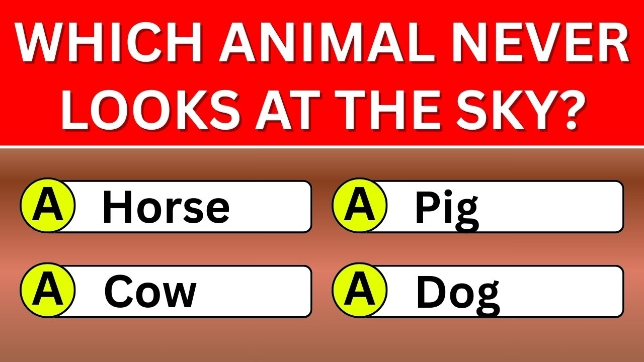 Only 1% Can ACE This Quiz ? | General Knowledge Brain Test | Quiz Guess Champ | GK Quiz
