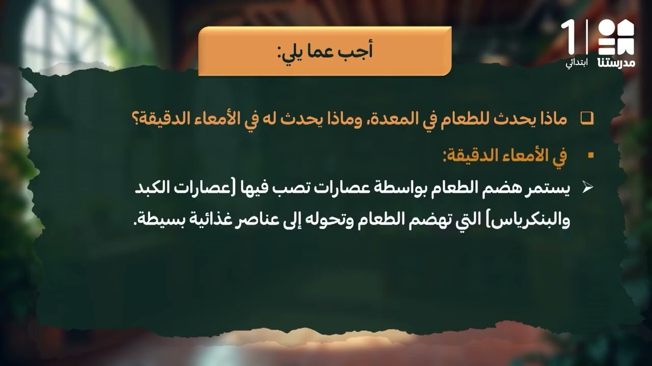 ماذا يحدث للطعام في المعدة؟ | العلوم - الصف الرابع الابتدائي