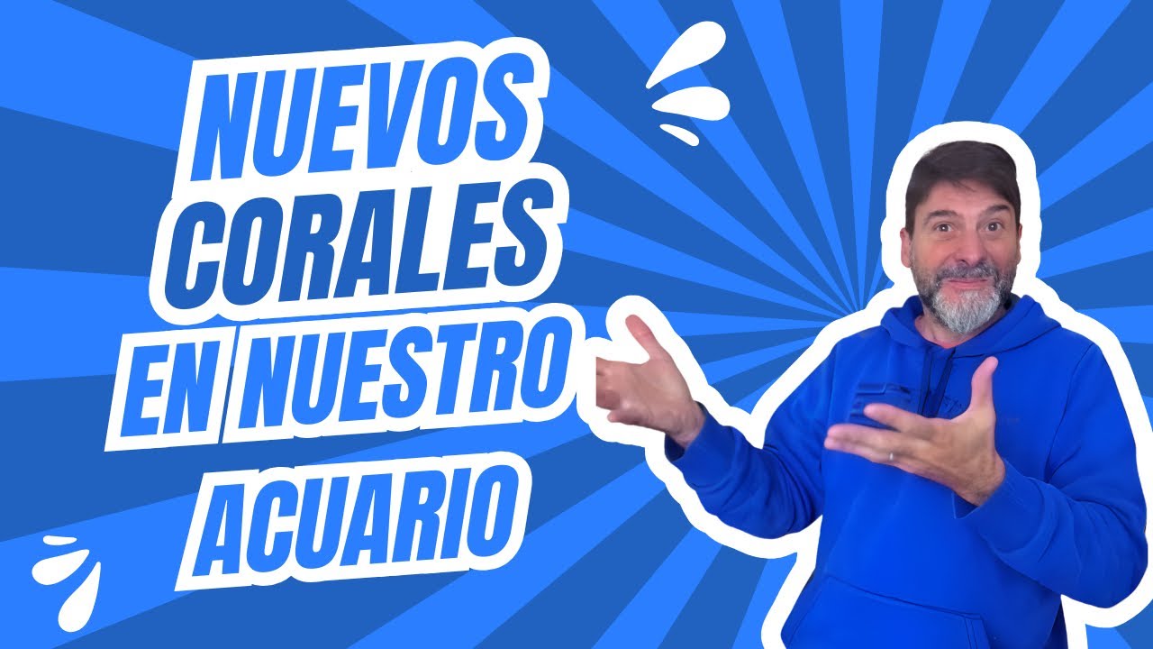 Nuevos corales en nuestro cubo marino!