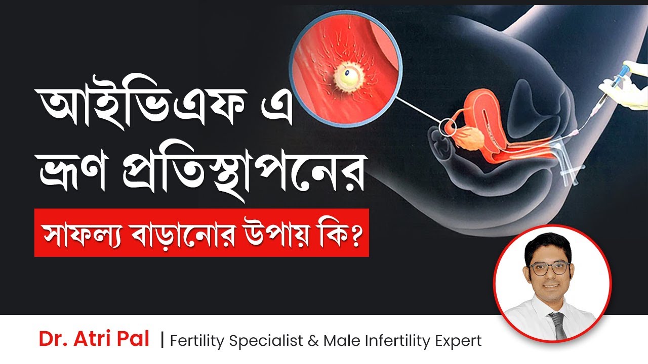 আইভিএফ এ ভ্রূণ প্রতিস্থাপনের সাফল্য বাড়ানোর উপায় কি? How to increase IVF Embryo Transfer Success
