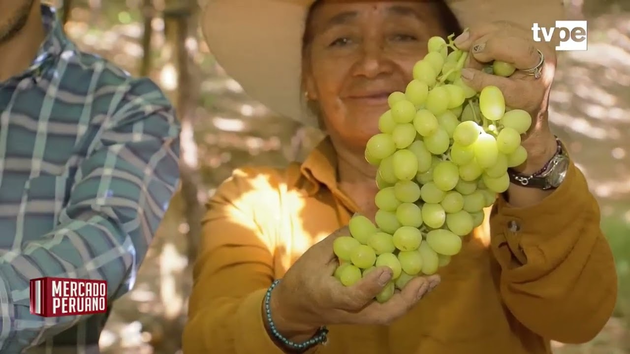 La uva peruana que conquista el mundo - Reportaje Tv Perú