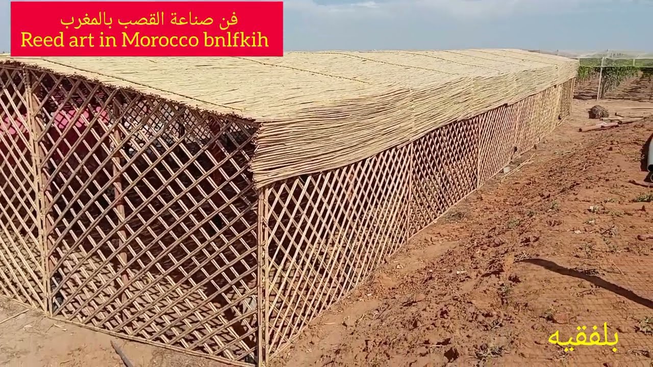 بناء كوري مسحته 300m من القصب والخشب