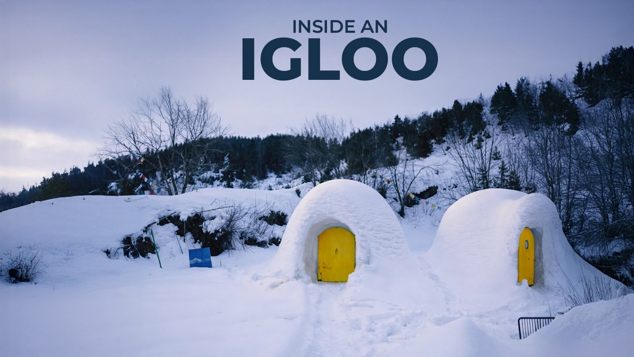 Igloo Village Sethan: A Much needed BREAK from OFFICE | naukriwala traveller