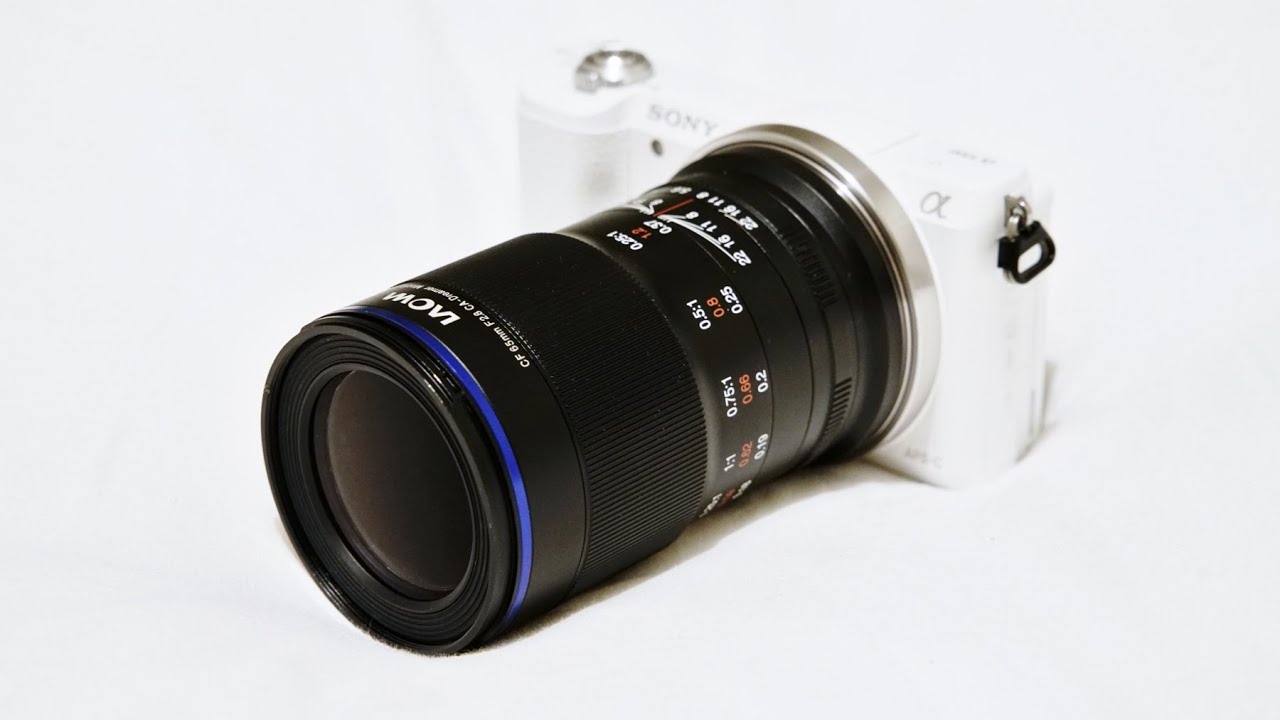 Обзор макрообъектива Venus Optics «Laowa» 65mm f/2.8 2:1