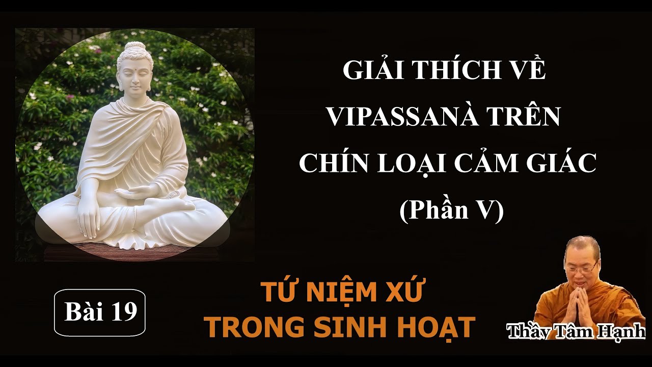 Bài 19 - Giải thích về Vipassanà trên chín loại cảm giác (phần V) (06/12/2025).