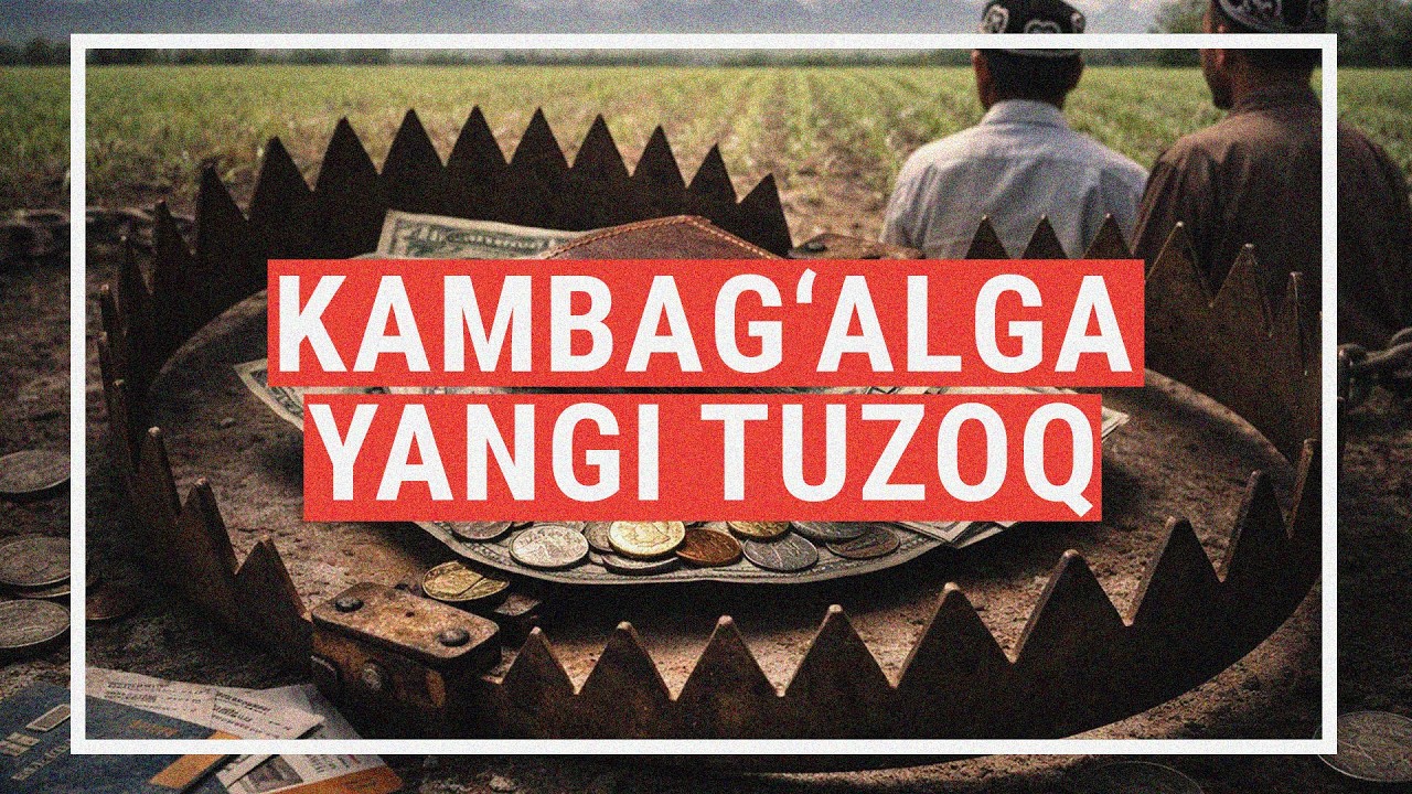 OZODNEWS: Rossiyalik relokantlar nega O&lsquo;zbekistonga borib ishlashni tanlamoqda?