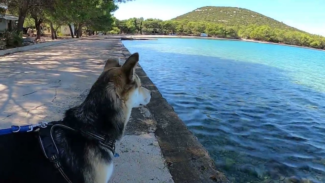 Autocamp Jazina, Tisno / Dalmatien, Kroatien - Camping mit Boot