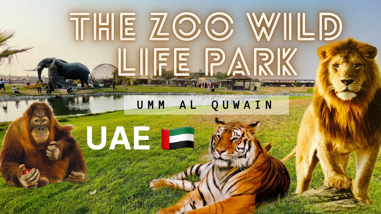The zoo wild life park in umm al quwain | zoo in UAE 🇦🇪 #thezoowildlifepark